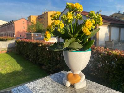 Self-watering Planter Buddy Hearth