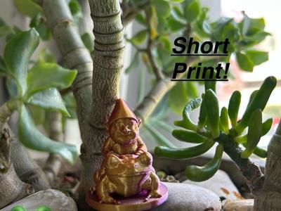Garden Gnome Riding Frog