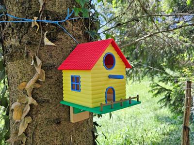Bird house