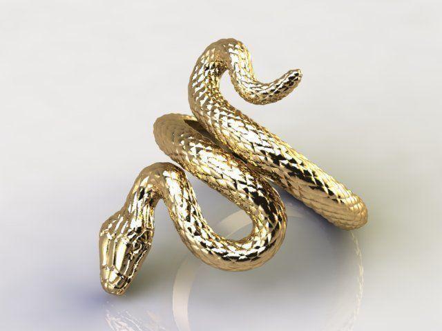 Ring snake 10362