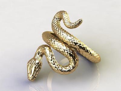 Ring snake 10362