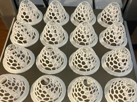 2 in Net pot