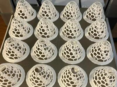2 in Net pot