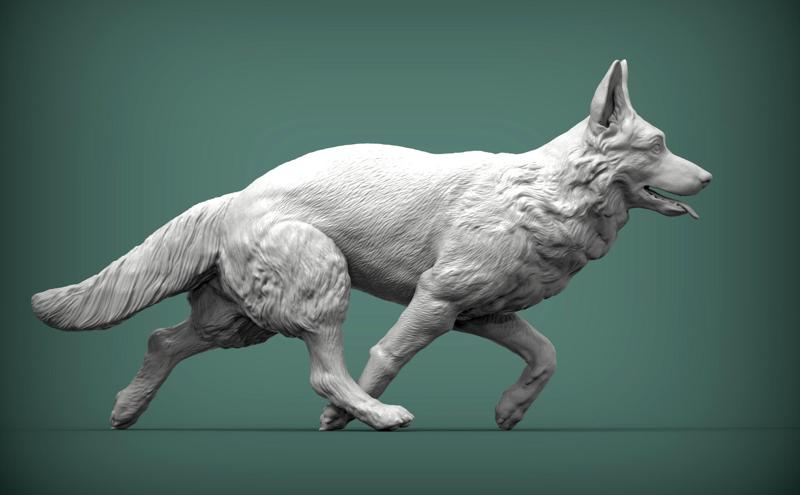 German Shepherd