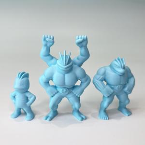 POKEMON – POKEMON MACHOP EVOLUTION (EASY PRINT NO SUPPORT)
