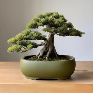 Oval Bonsai Pot, Bonsai Planter