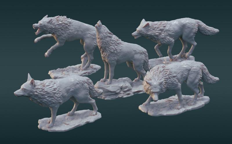 A pack of wolves