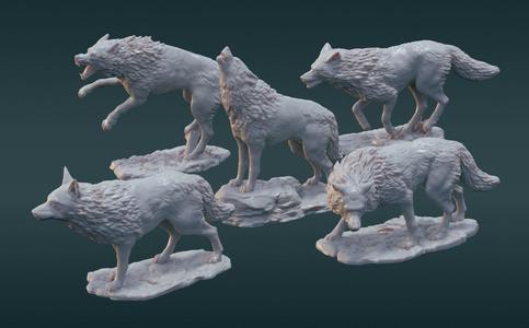 A pack of wolves