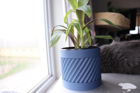 Rise Planter