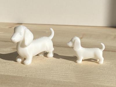 Mini Dachshund Dog