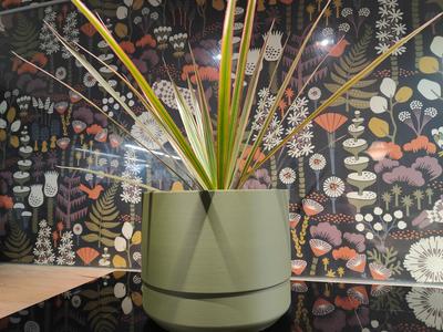 Self watering plant pot – XL