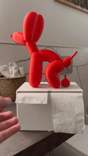 Toilet Paper Holder – Single & Double Version