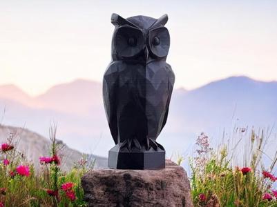 The Geometric Owl – A Modern Take on Wisdom