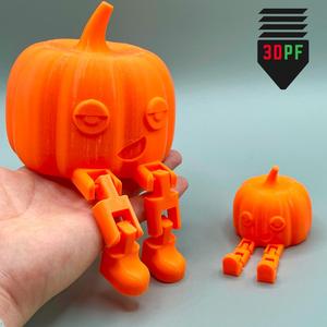 Pumpkin Buddy