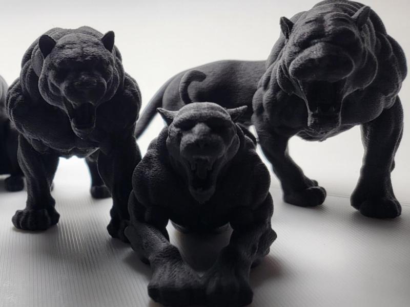 Six Shades of Panther