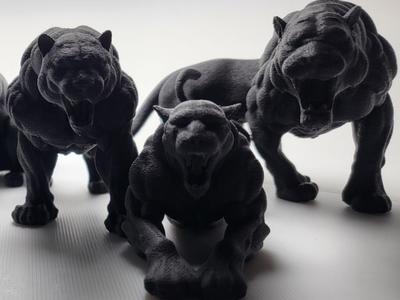 Six Shades of Panther