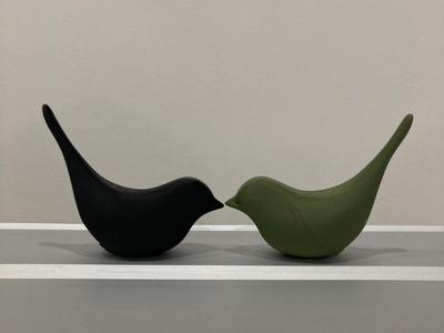 Swallow home design