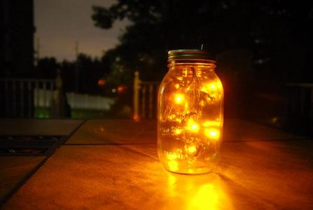 Firefly Jar
