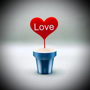 Single Love Heart Pot Plant