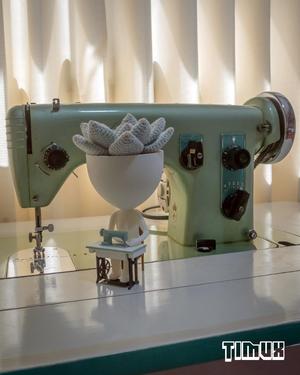 ROBERTA PLANT – SEWING MACHINE