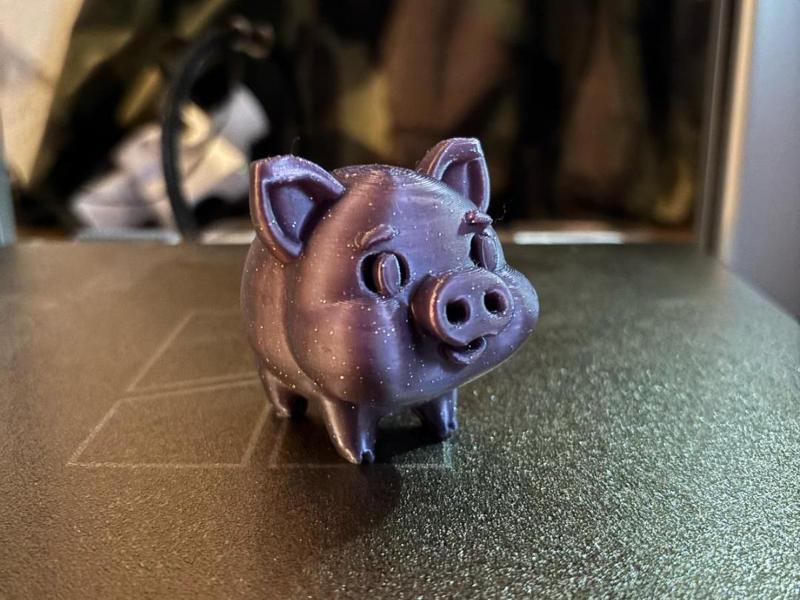 Mini Pig Cute