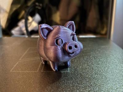 Mini Pig Cute