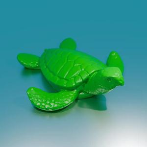 Sea Turtle