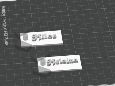 Customizable Name Tag