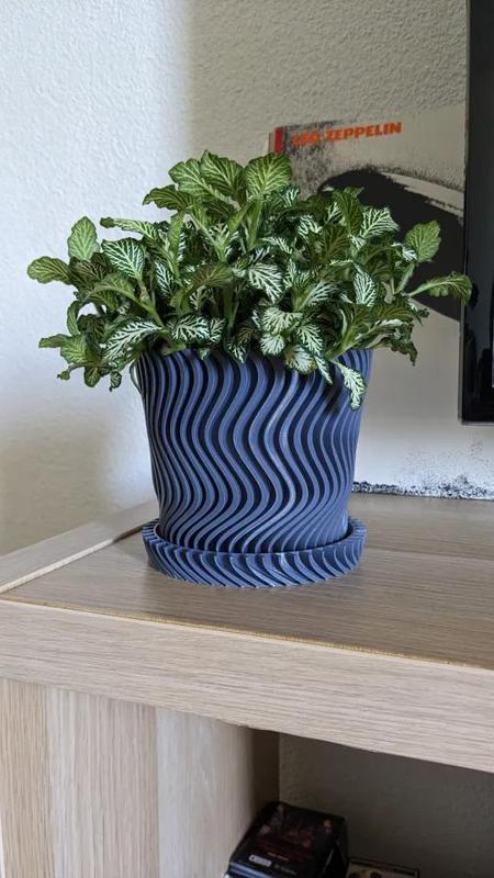 Spiral Plant Vase
