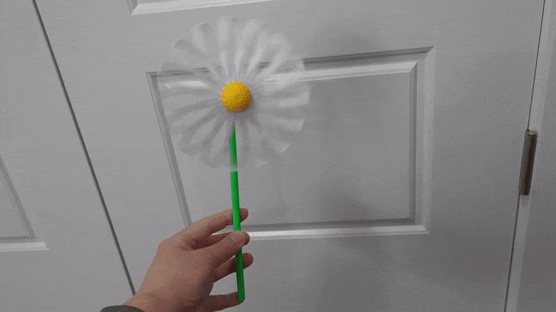 Daisy Pinwheel