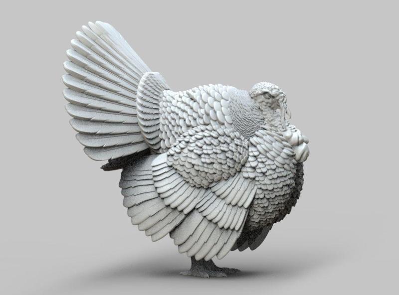 turkey thanksgiving