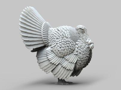 turkey thanksgiving