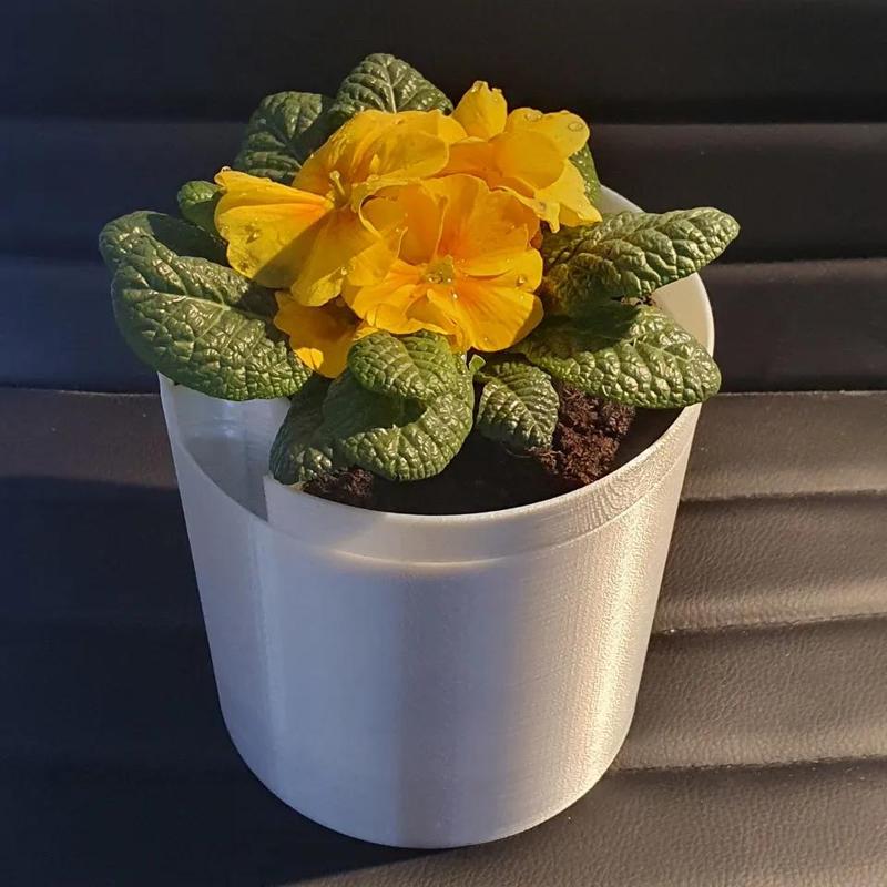 Self Watering Planter