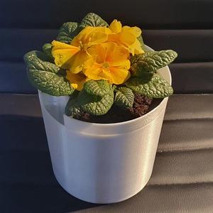 Self Watering Planter