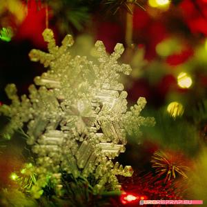 Real snowflake – Christmas Tree decoration – size: 128mm