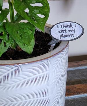 Plant Speech Balloon – I think I wet my plants