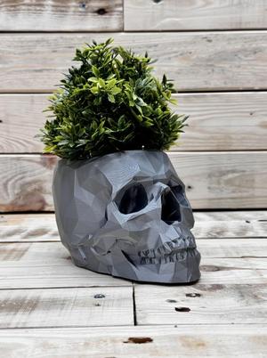 Skull Planter/Pot – low polly