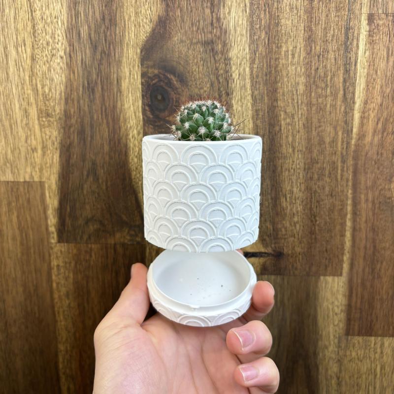 Uroku – Planter Pot (Wall mount & Table Top)
