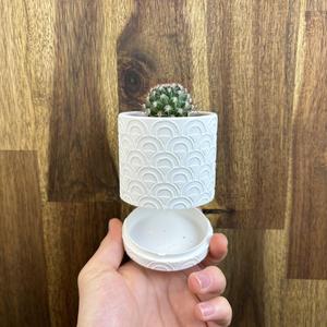 Uroku – Planter Pot (Wall mount & Table Top)