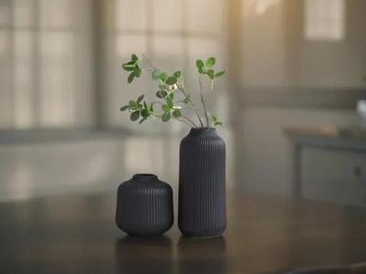Modern Ribbed Vase Minimalist Style Design