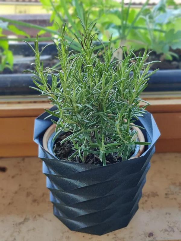 Twisted plant pot