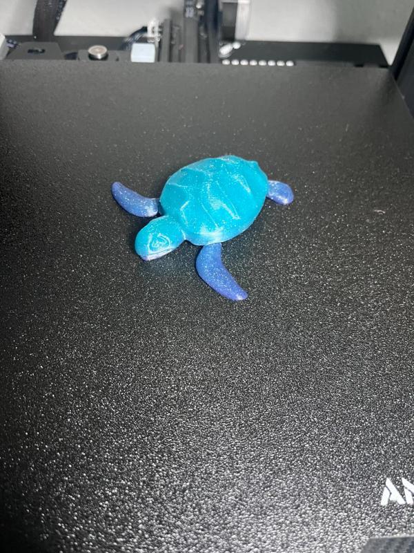 Articulated Sea Turtle