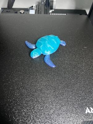 Articulated Sea Turtle