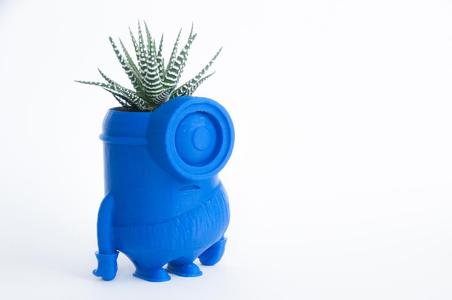 Minion stone age planter