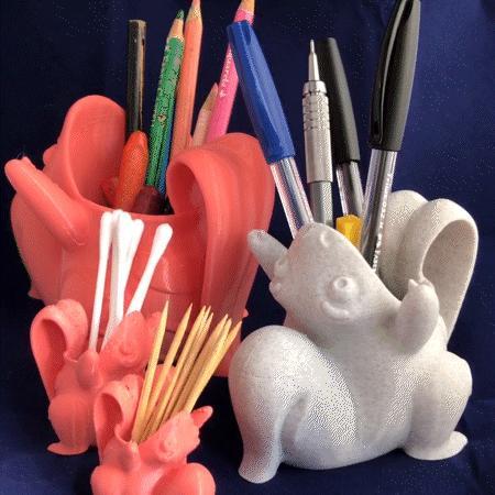 LICKITUNG POKEMON ORGANIZER