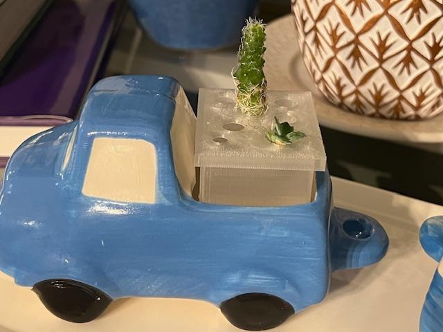 Mini Cactus Grow Box