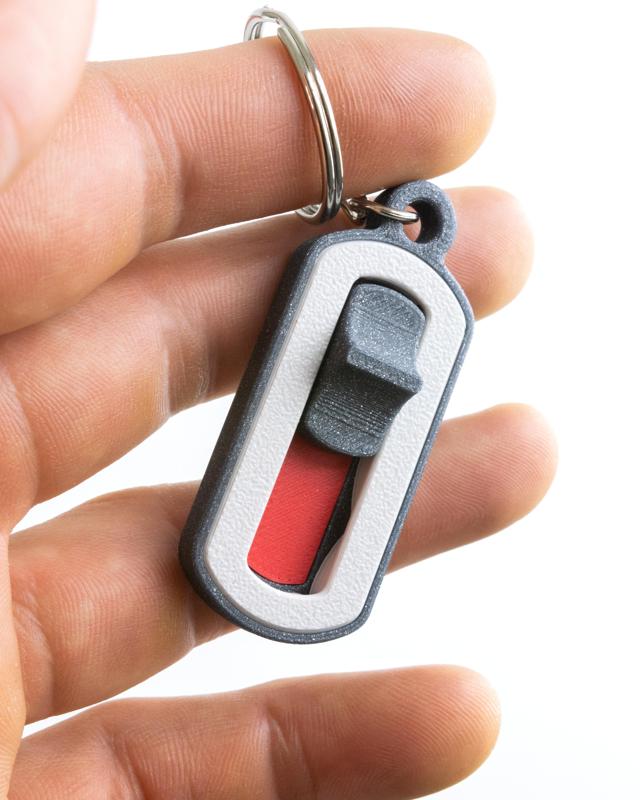 Snappy Switch Keychain