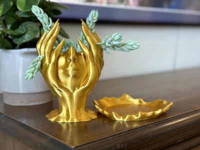 Melted Woman Head- Support Free Planter/Jewelry Holder