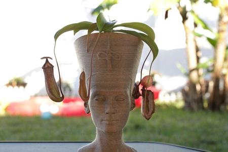 Nefertiti Bust [Hollow]