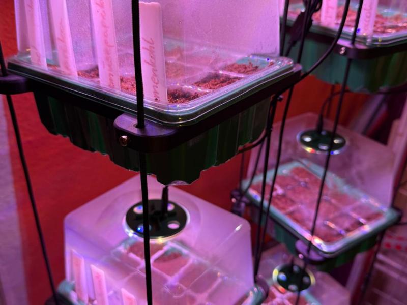 Plant Propagation Tray Holder